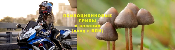 mdma Бородино