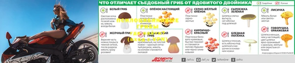 круглые Верея